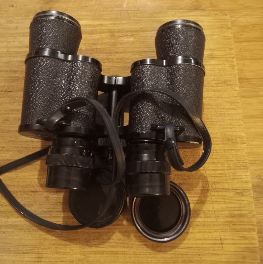 Vintage Bushnell binoculars with case